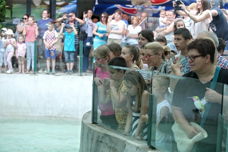 Zoološki vrt u centru Zagreba proslavio svoj veliki 93. rođendan