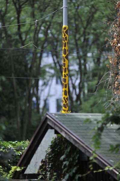 Zagrebački ZOO proslavio 93. rođendan
