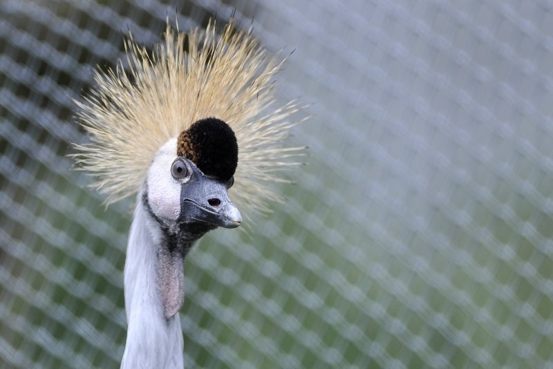 Zagrebački ZOO proslavio 93. rođendan