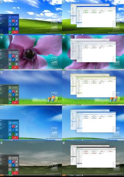 Windows XP