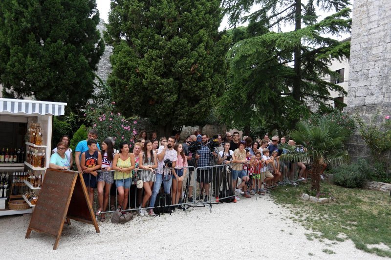 Obitelj i prijatelji na vjenčanju Franke Batelić i Vedrana Ćorluke