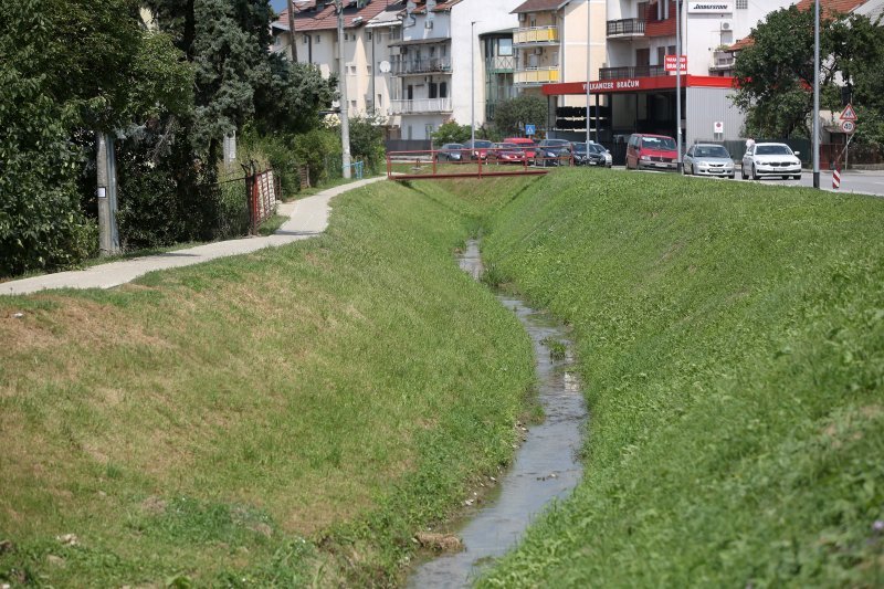 Mutnim potokom Kustošak plutaju uginule ribe