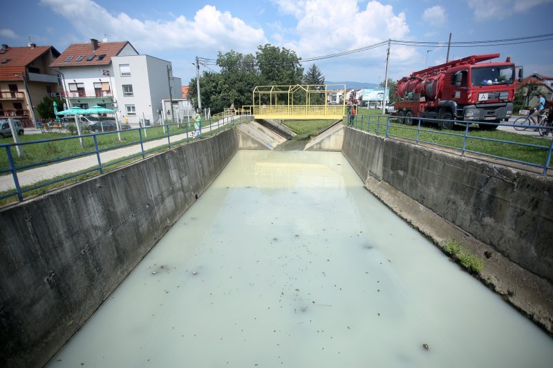 Mutnim potokom Kustošak plutaju uginule ribe