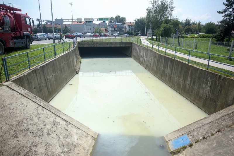 Mutnim potokom Kustošak plutaju uginule ribe