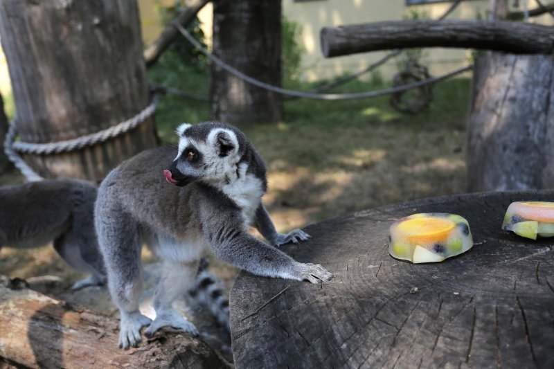 Životinje Zoološkog vrta grada Zagreba