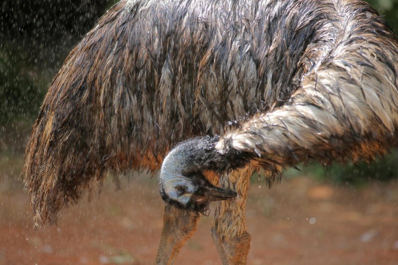 Životinje Zoološkog vrta grada Zagreba