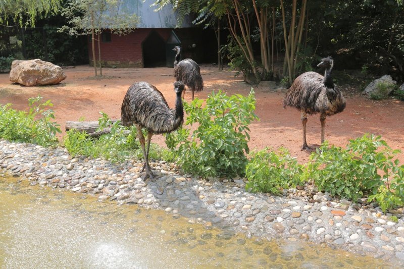 Životinje Zoološkog vrta grada Zagreba