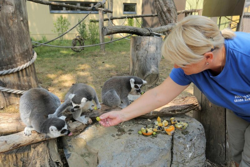 Životinje Zoološkog vrta grada Zagreba