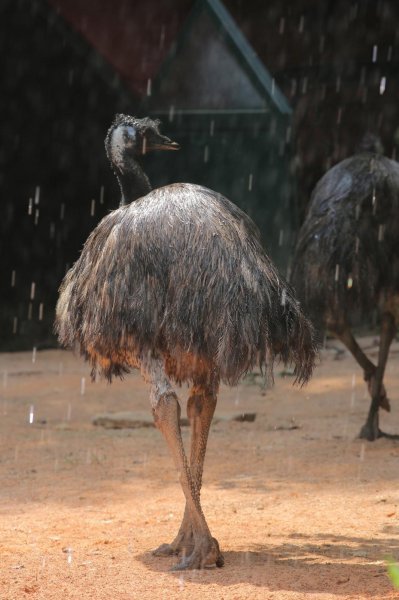 Životinje Zoološkog vrta grada Zagreba