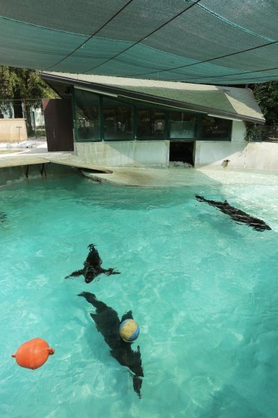 Životinje Zoološkog vrta grada Zagreba