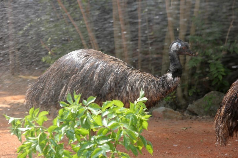 Životinje Zoološkog vrta grada Zagreba