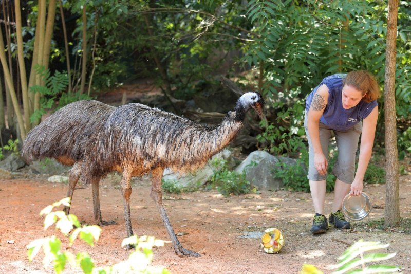 Životinje Zoološkog vrta grada Zagreba