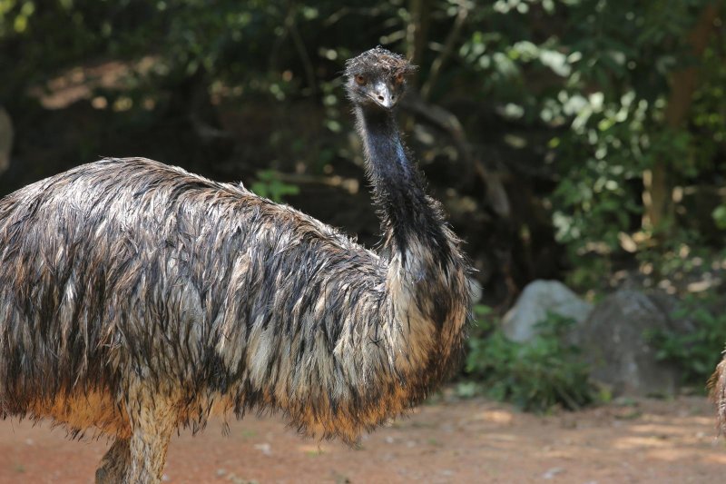 Životinje Zoološkog vrta grada Zagreba