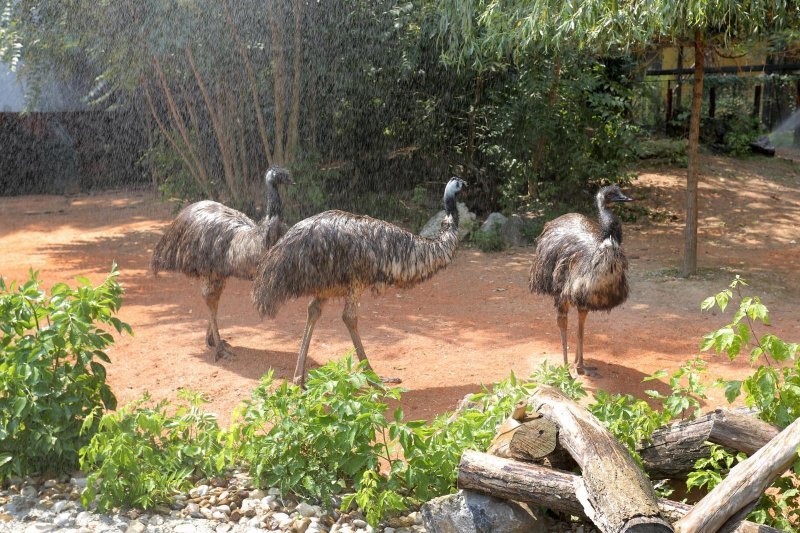 Životinje Zoološkog vrta grada Zagreba