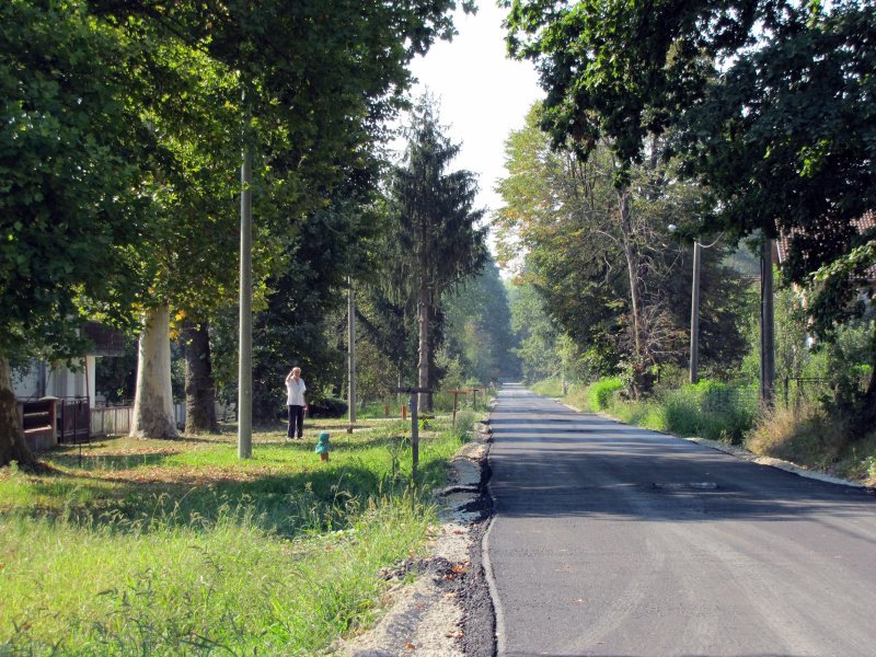 Kotar šuma