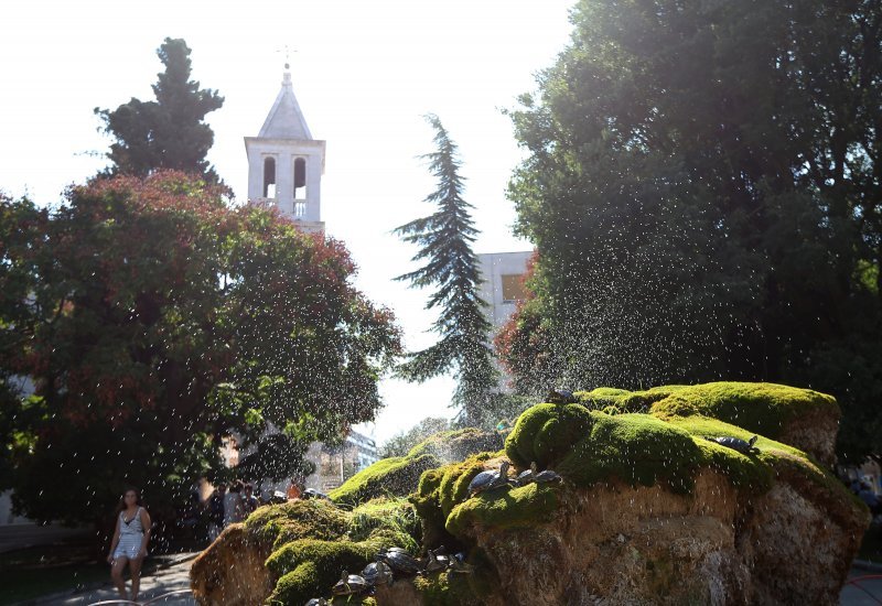 Kornjače se osvježuju u fontani i privlače znatiželjne turiste