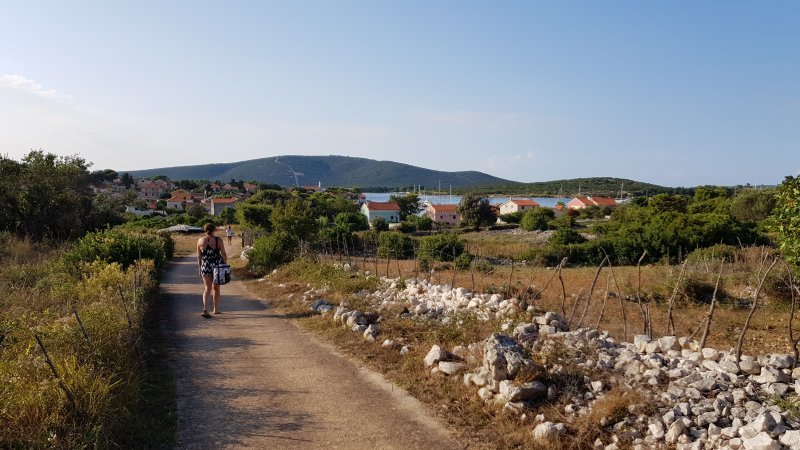 Život na Iloviku