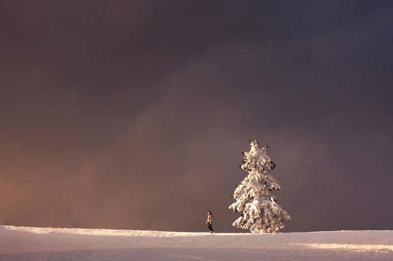 Autoportreti Elizabeth Gadd