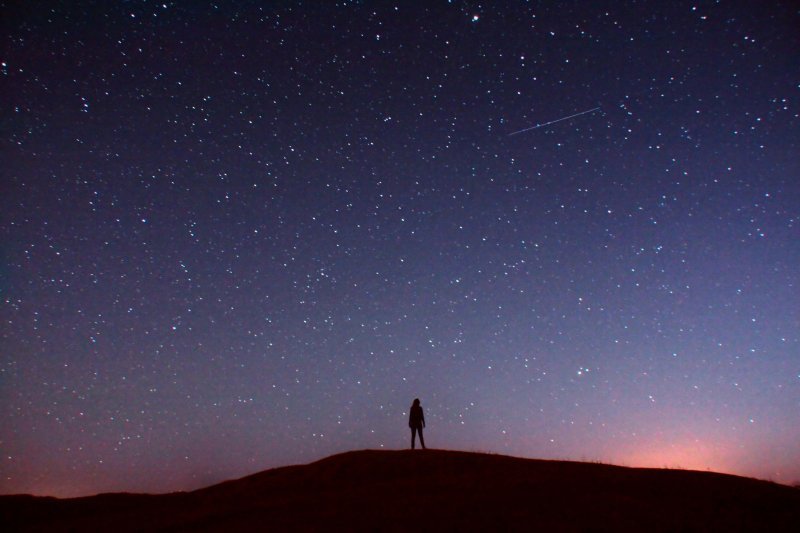 Autoportreti Elizabeth Gadd