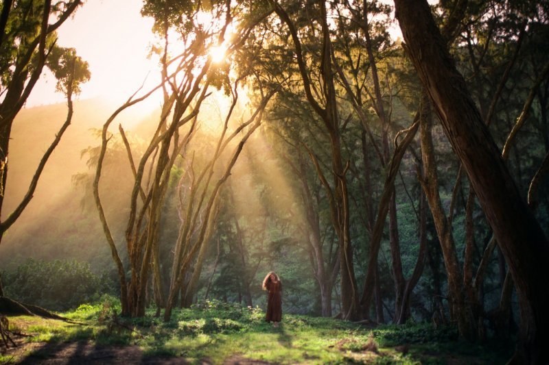 Autoportreti Elizabeth Gadd