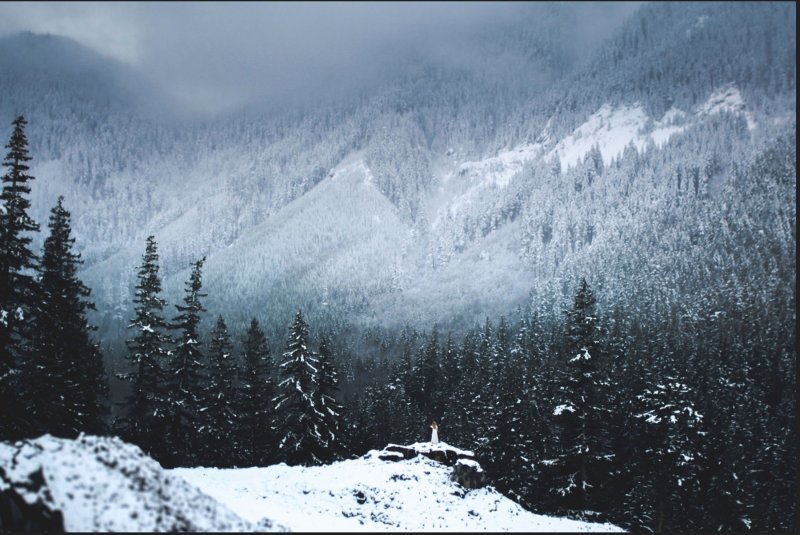 Autoportreti Elizabeth Gadd