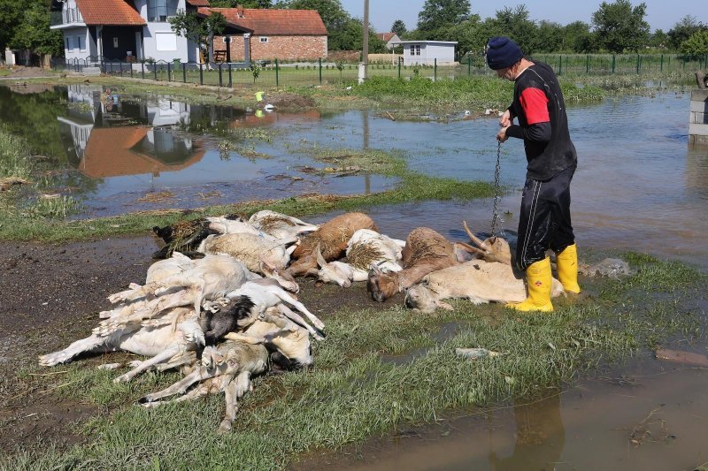 Posljedica katastrofalne poplave u Rajevu Selu u svibnju 2014.