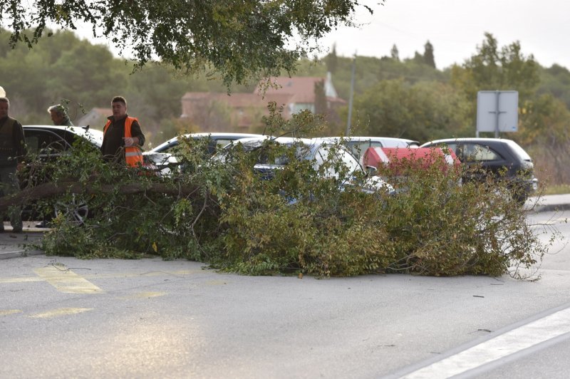 Jako jugo srušilo stablo na cestu u Dubravi kod Šibenika