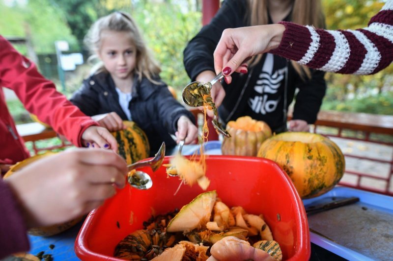 U zagrebačkom Zoološkom vrtu održana bundevijada