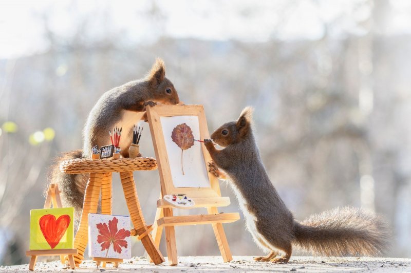 Vjeverice slikaju jesen