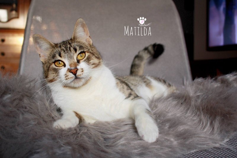 Matilda