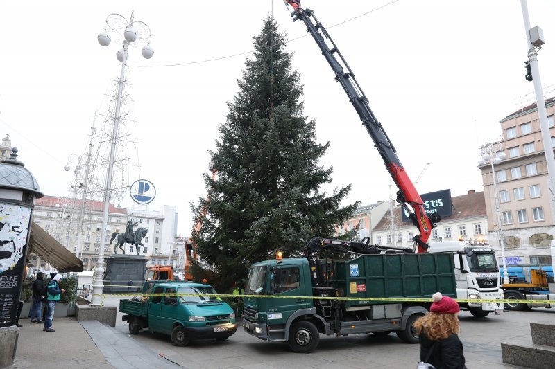 Postavljanje doniranog bora na Trg bana Jelačića