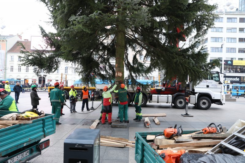 Postavljanje doniranog bora na Trg bana Jelačića