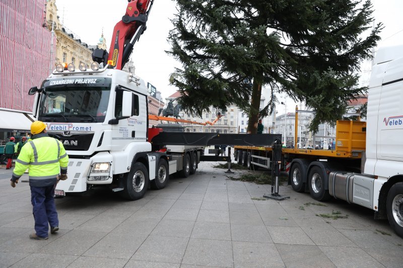 Postavljanje doniranog bora na Trg bana Jelačića