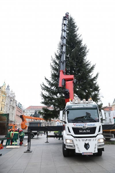 Postavljanje doniranog bora na Trg bana Jelačića