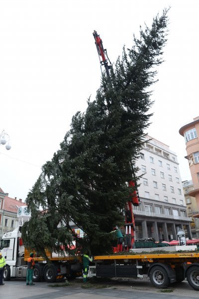 Postavljanje doniranog bora na Trg bana Jelačića