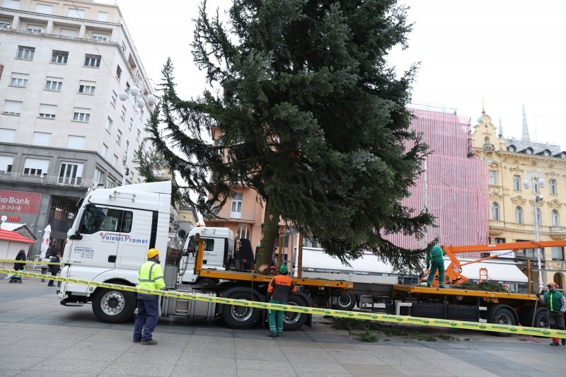 Postavljanje doniranog bora na Trg bana Jelačića