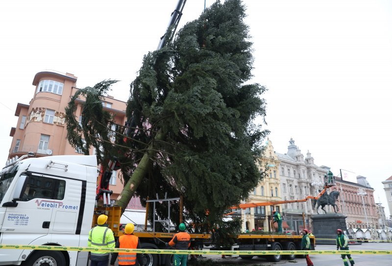 Postavljanje doniranog bora na Trg bana Jelačića