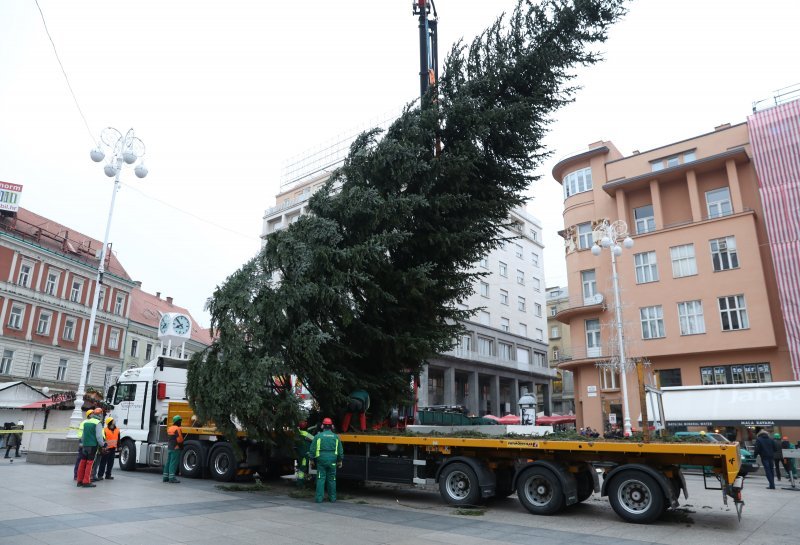 Postavljanje doniranog bora na Trg bana Jelačića