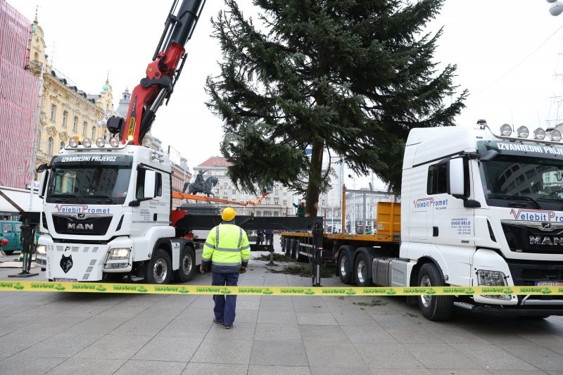 Postavljanje doniranog bora na Trg bana Jelačića