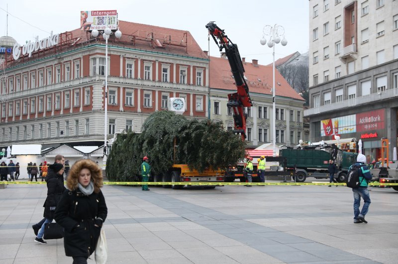 Postavljanje doniranog bora na Trg bana Jelačića