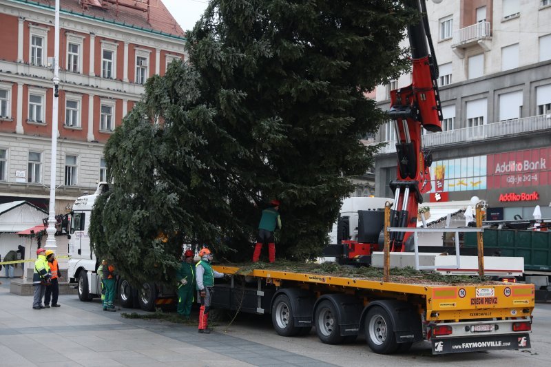 Postavljanje doniranog bora na Trg bana Jelačića