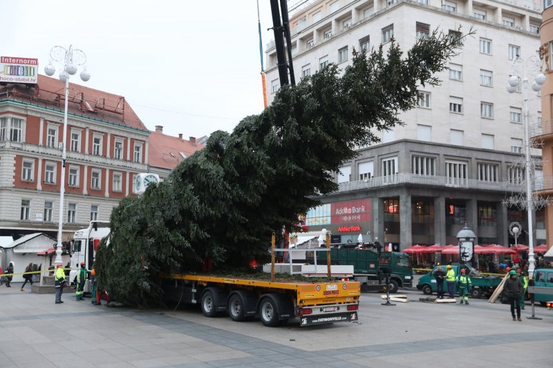 Postavljanje doniranog bora na Trg bana Jelačića