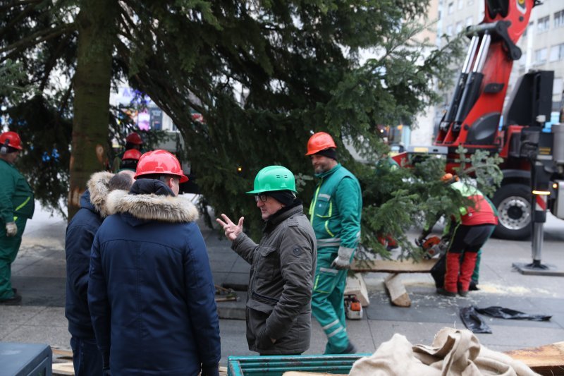 Postavljanje doniranog bora na Trg bana Jelačića