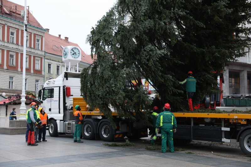 Postavljanje doniranog bora na Trg bana Jelačića