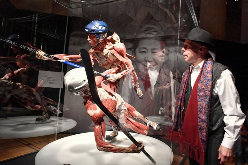 Izložba Body Worlds: Cycle of Life