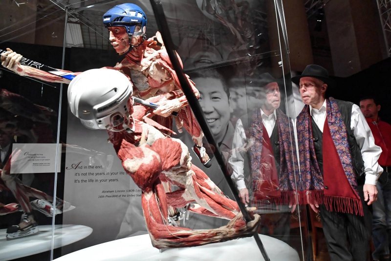 Izložba Body Worlds: Cycle of Life