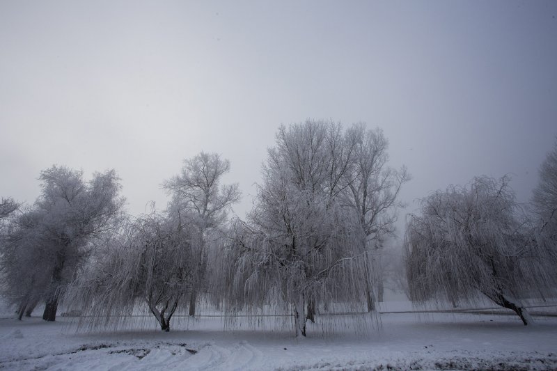 Zimska idila na lijevoj obali Drave u Osijeku