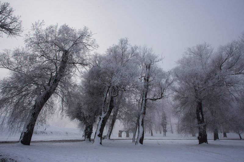 Zimska idila na lijevoj obali Drave u Osijeku