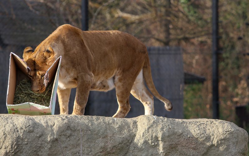 Božićni darovi životinjama u ZOO vrtu u Zagrebu