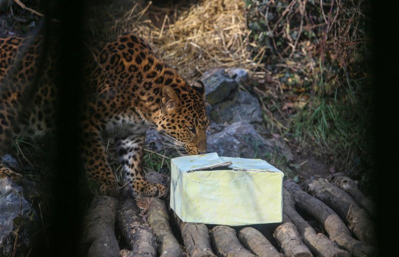 Božićni darovi životinjama u ZOO vrtu u Zagrebu